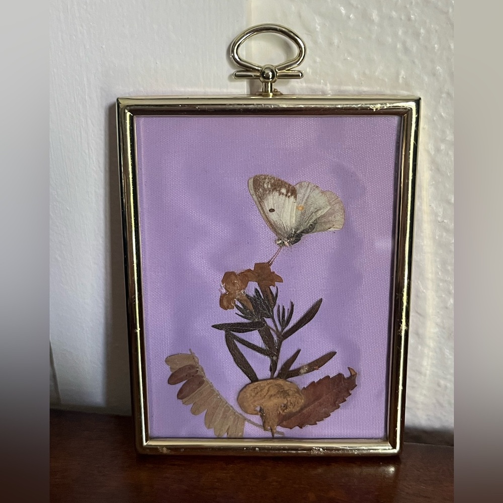 Vintage Tirol Austria Framed Pressed Flowers & Homemade Framed Butterfly 2 Pc - Picture 7 of 13
